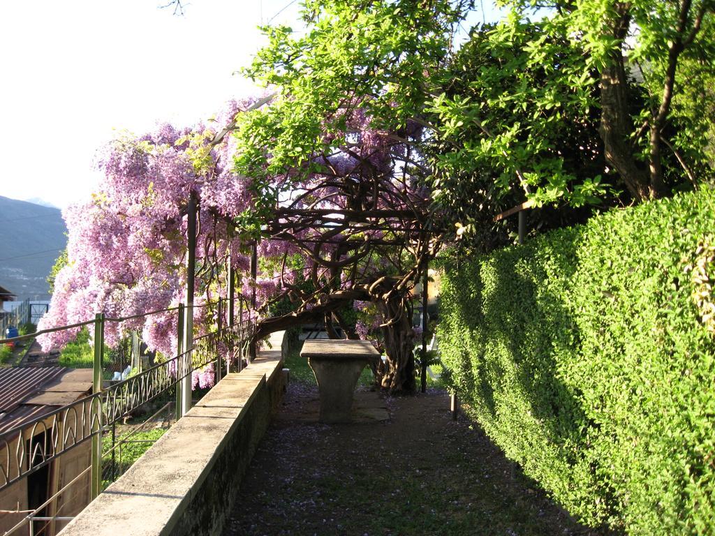 Casa Gibiseo Apartment Bellano Exterior photo